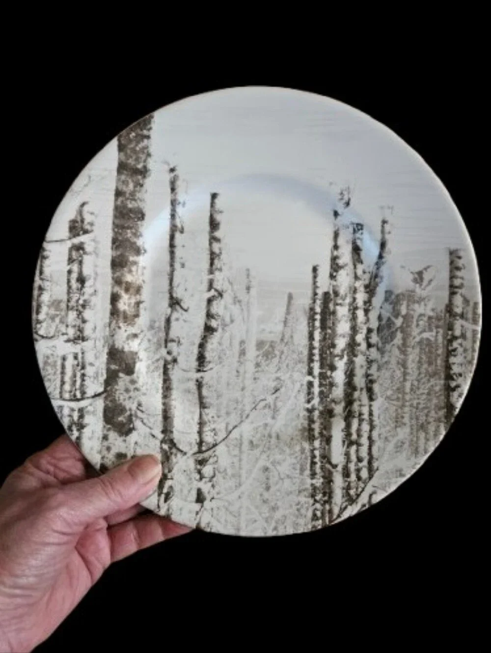 *PIER 1 Imports Snow Forest Winter Animal Salad/Appetizer Plates Set Of 4